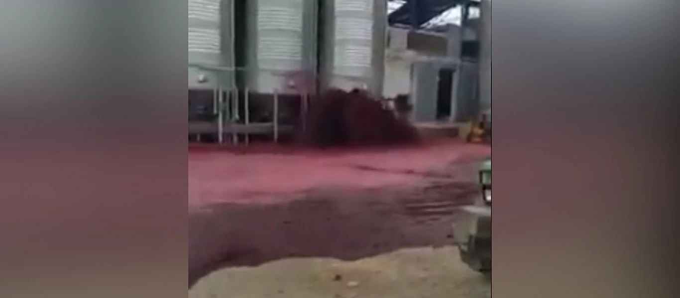 Ισπανία: Διαρροή σε δεξαμενή δημιούργησε... έναν χείμαρρο από κρασί (βίντεο)